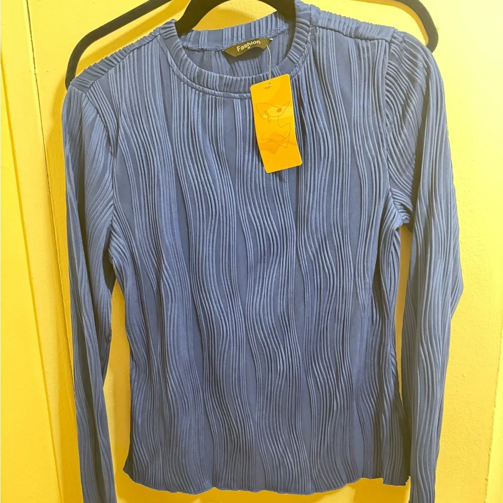 Blue Ribbed Mesh Blouse - Picture 4 of 4